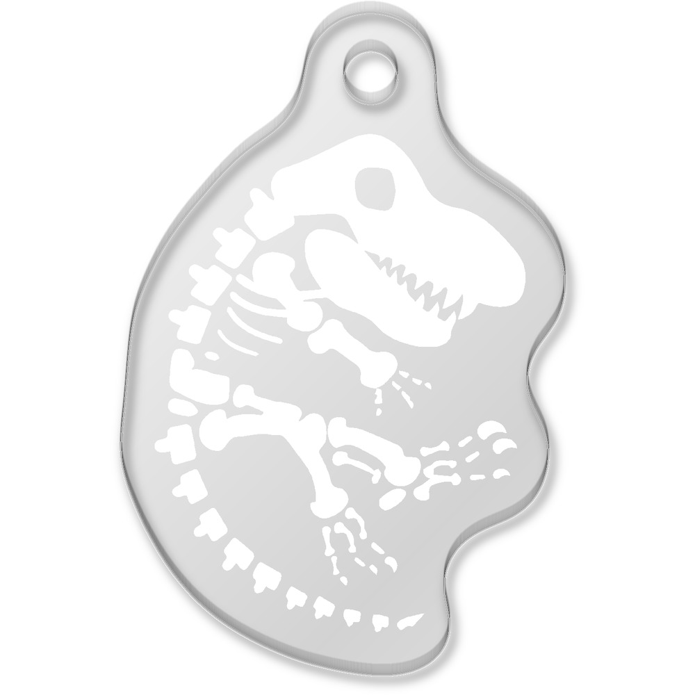 'Dinosaur Fossil' Laser-Engraved Clear Shaped Acrylic Keyring / Keychain / Key Fob / Bag Tag (AK00008231)