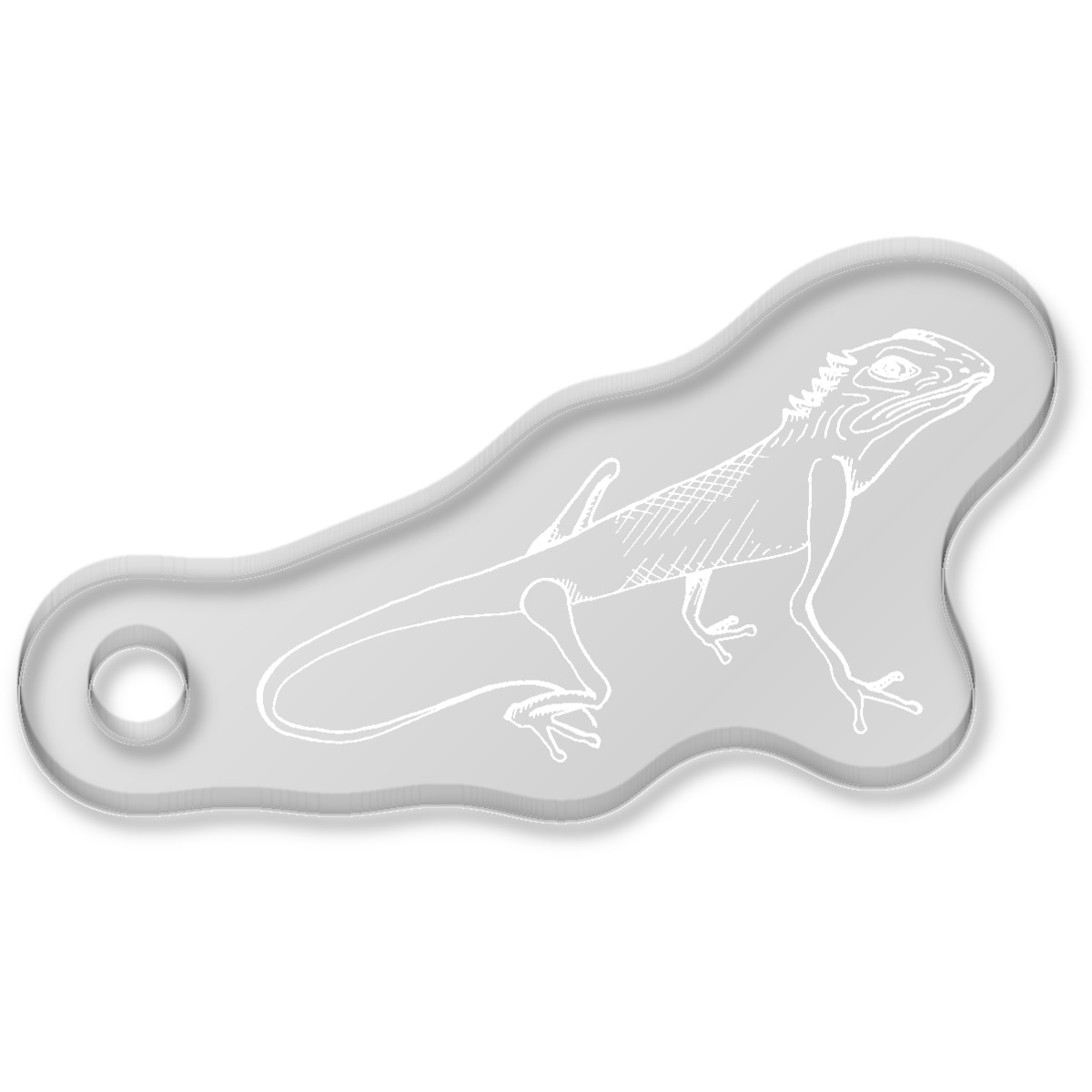 'Curious Lizard' Laser-Engraved Clear Shaped Acrylic Keyring / Keychain / Key Fob / Bag Tag (AK00038378)