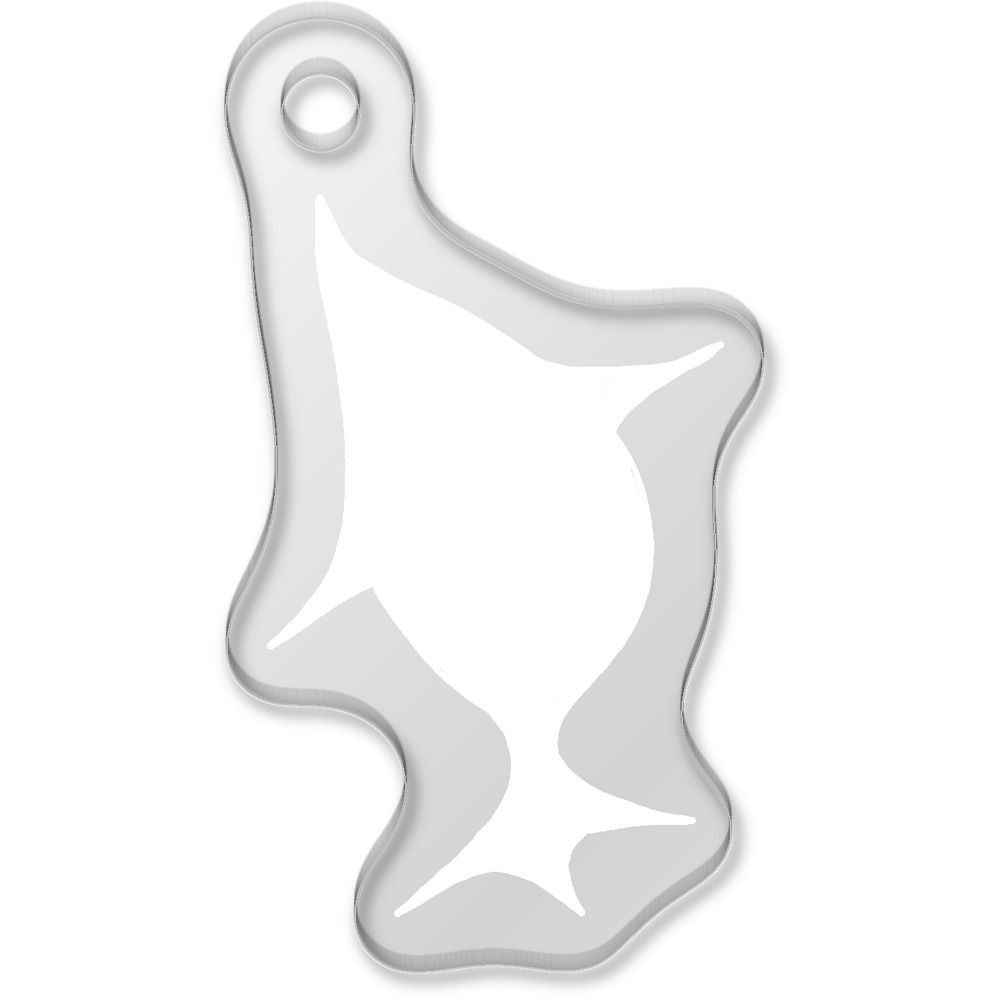 'A Huge Fish' Laser-Engraved Clear Shaped Acrylic Keyring / Keychain / Key Fob / Bag Tag (AK00089575)