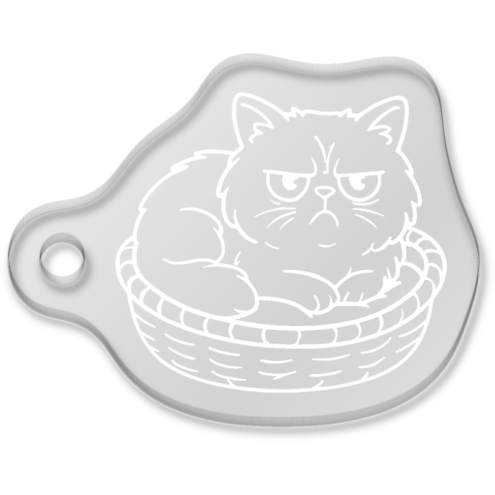 'Grumpy Persian Cat' Laser-Engraved Clear Shaped Acrylic Keyring / Keychain / Key Fob / Bag Tag (AK00092365)