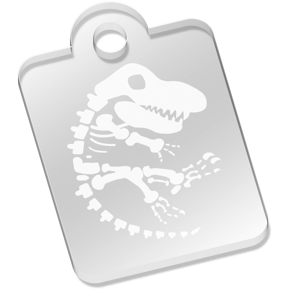 'Dinosaur Fossil' Laser-Engraved Clear Acrylic Keyring / Keychain (AK000151)