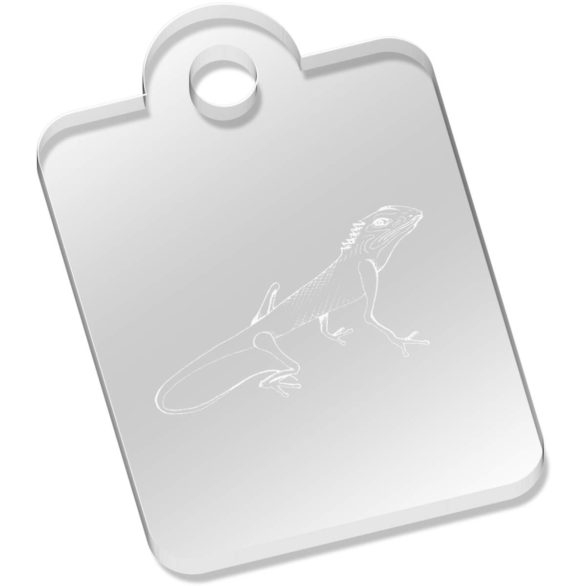 'Curious Lizard' Laser-Engraved Clear Acrylic Keyring / Keychain (AK016524)