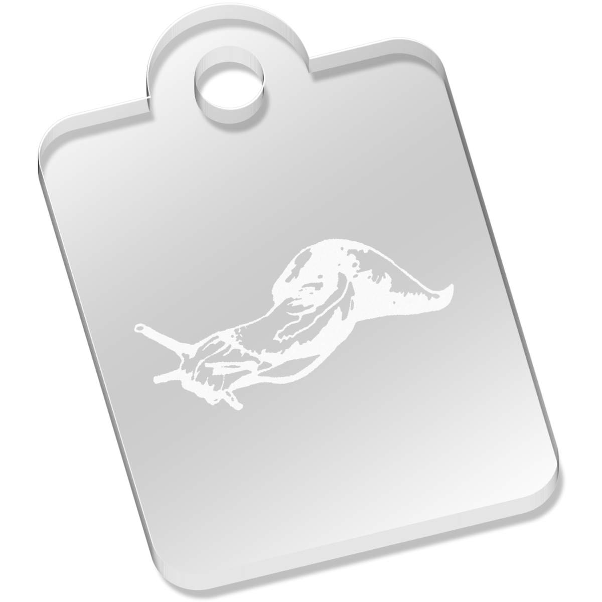'Slug' Laser-Engraved Clear Acrylic Keyring / Keychain (AK023081)