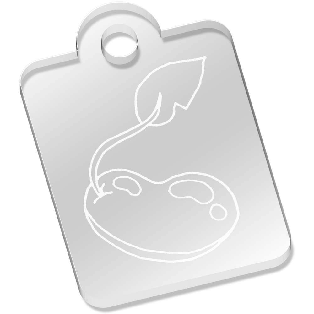 'Sprouting Bean' Laser-Engraved Clear Acrylic Keyring / Keychain / Key Fob / Bag Tag (AK00057540)