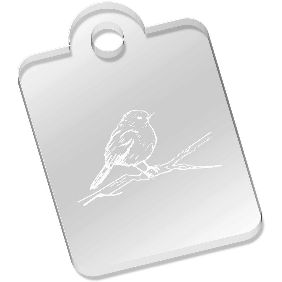 'Perched Robin' Laser-Engraved Clear Acrylic Keyring / Keychain (AK025379)