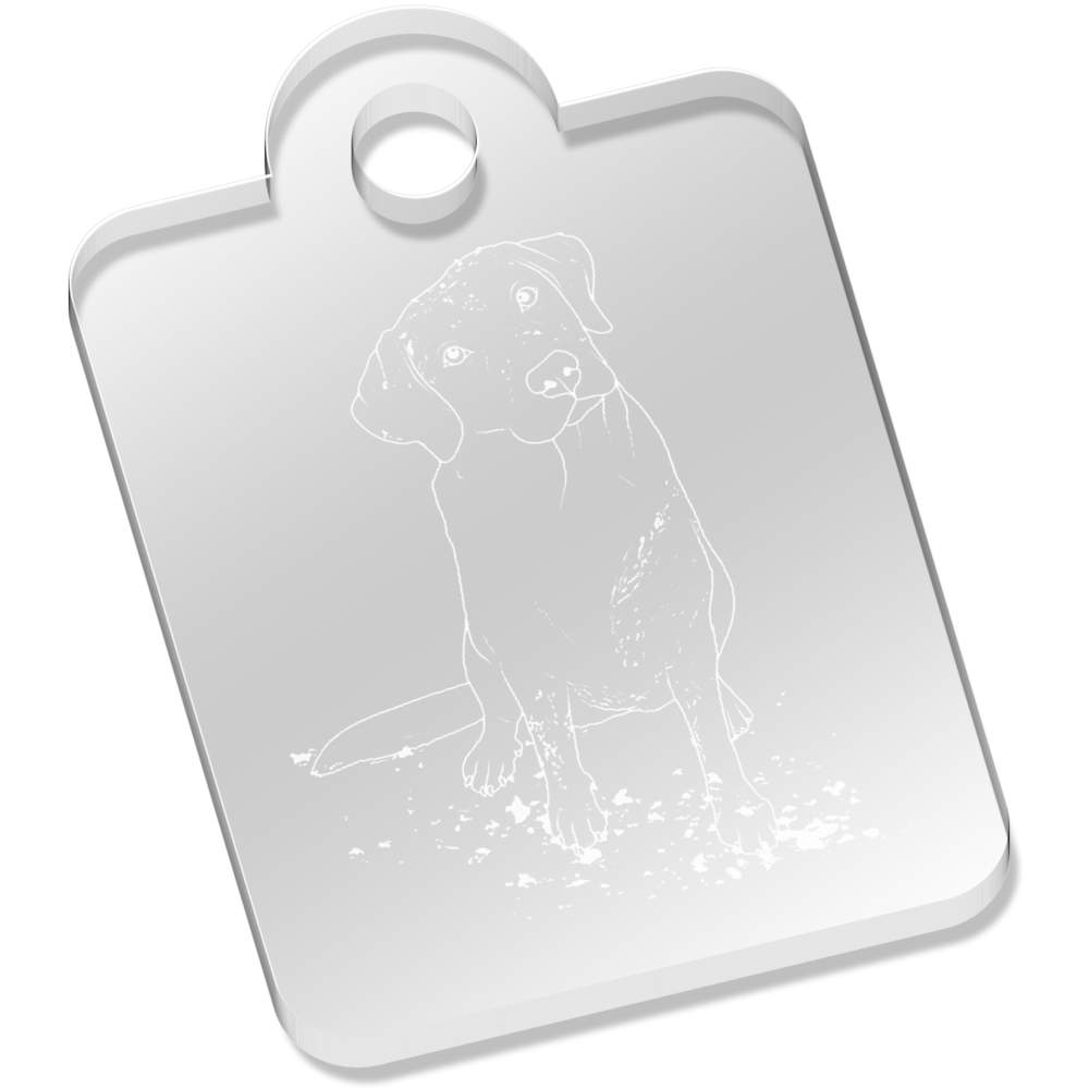 'Muddy Labrador' Laser-Engraved Clear Acrylic Keyring / Keychain (AK040096)