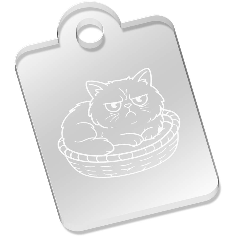 'Grumpy Persian Cat' Laser-Engraved Clear Acrylic Keyring / Keychain (AK056480)