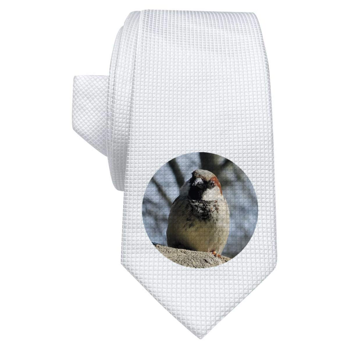 'Charming House Sparrow on Stone' White Tie / Necktie with Gift Box (AT00027633)