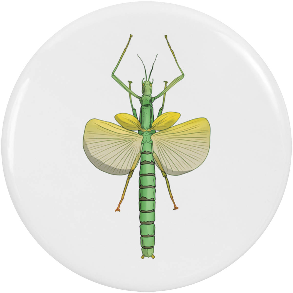 2 x 38mm 'Stick Insect' Small Button Pin Badges (BB00123473)