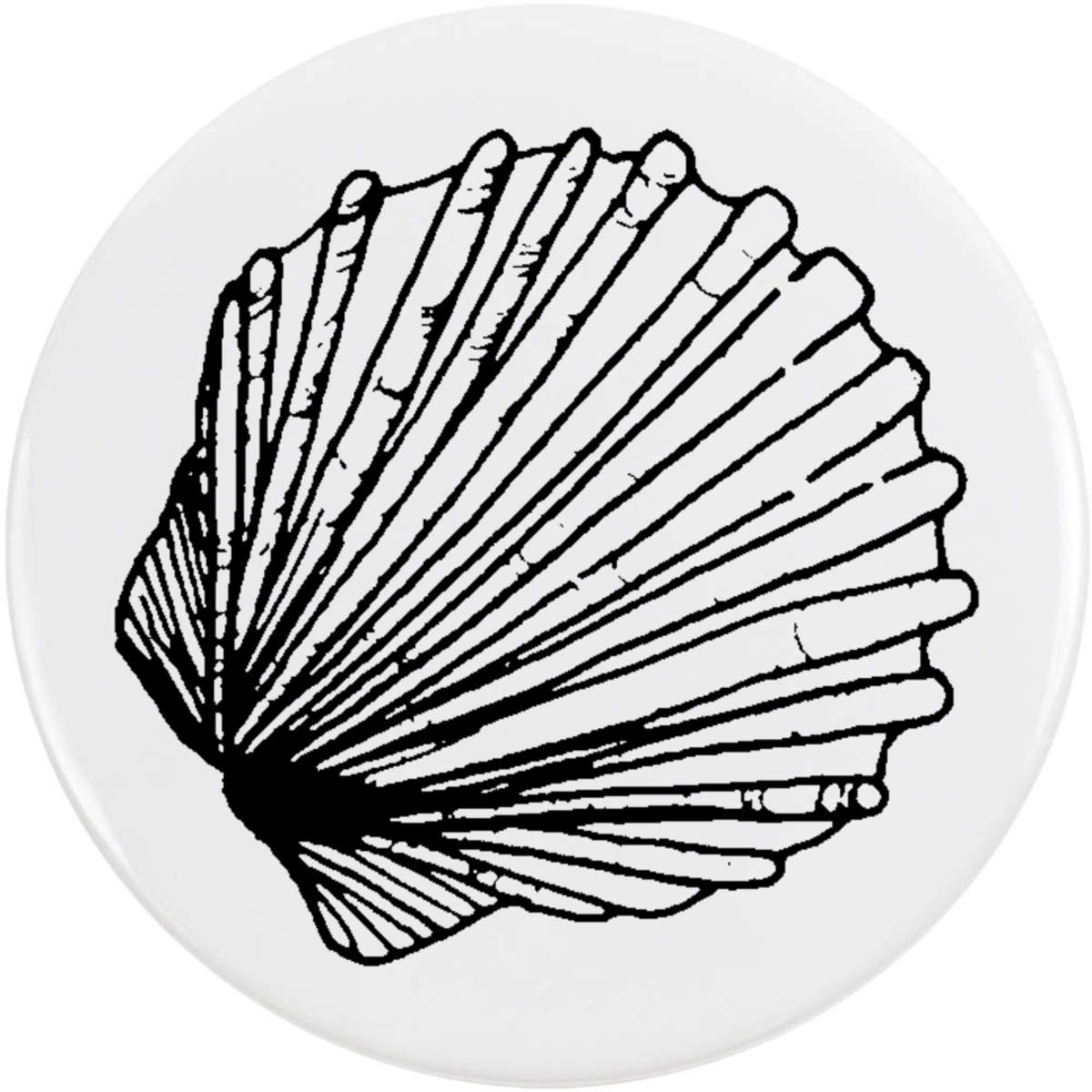 58mm 'Scallop Shell' Medium Button Pin Badge (BB00033080)