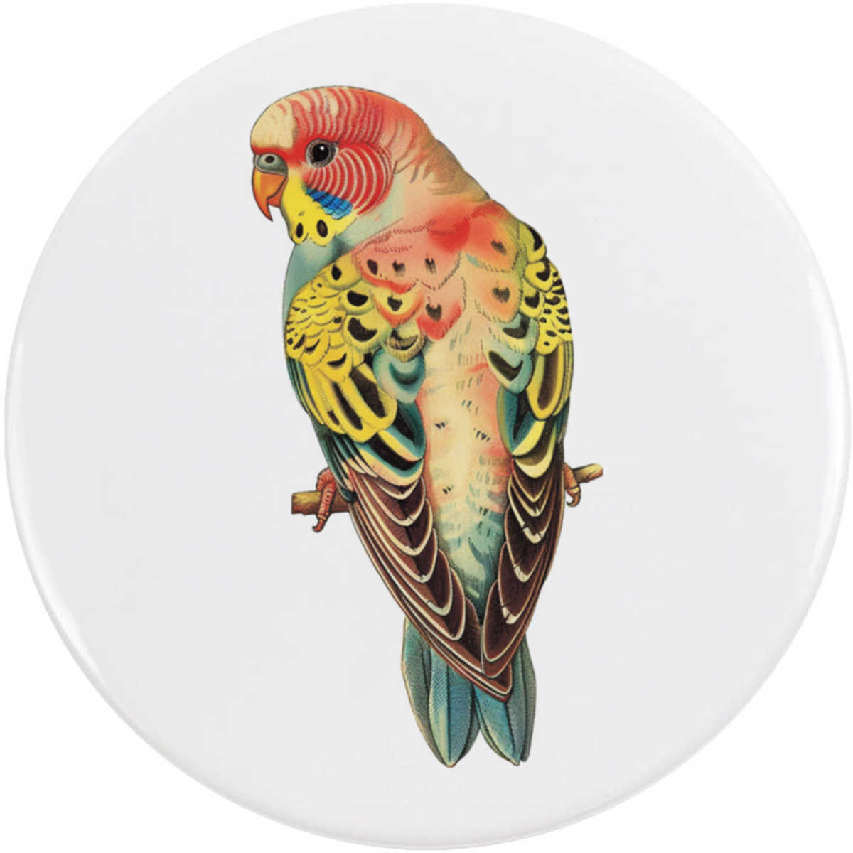 'Colourful Budgie' Button Badge - 58mm - Pin Back / Lapel Badge for Clothes, Bags, Accessories and Gifts (BB00130379)