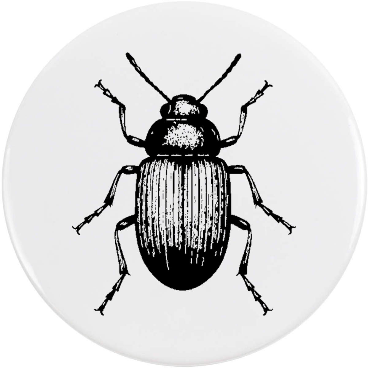 58mm 'beetle' Medium Button Pin Badge (BB00146807)