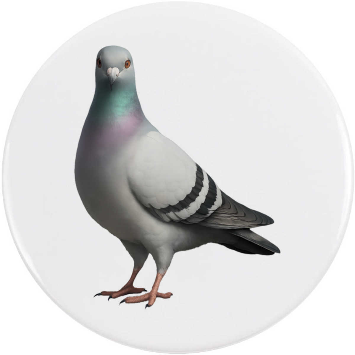 'Racing Pigeon' Button Badge - 58mm - Pin Back / Lapel Badge for Clothes, Bags, Accessories and Gifts (BB00148781)