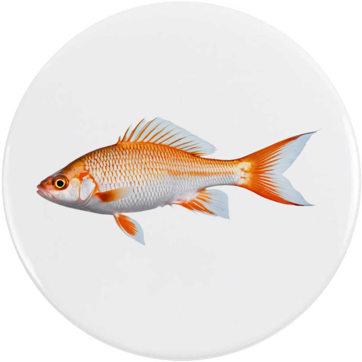 'Fish' Button Badge - 58mm - Pin Back / Lapel Badge for Clothes, Bags, Accessories and Gifts (BB00159942)