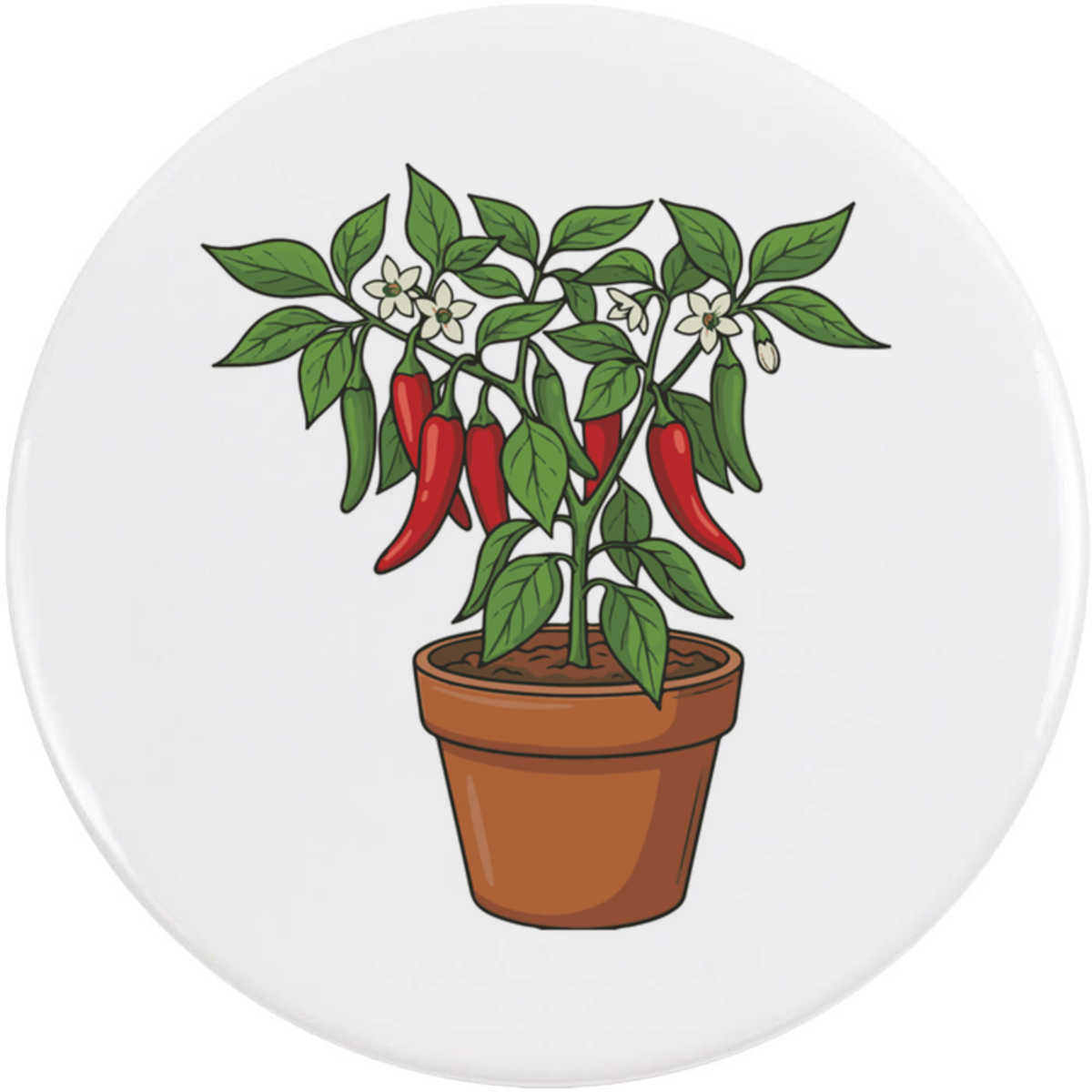 'Pepper Plant In Pot' Button Badge - 58mm - Pin Back / Lapel Badge for Clothes, Bags, Accessories and Gifts (BB00164193)