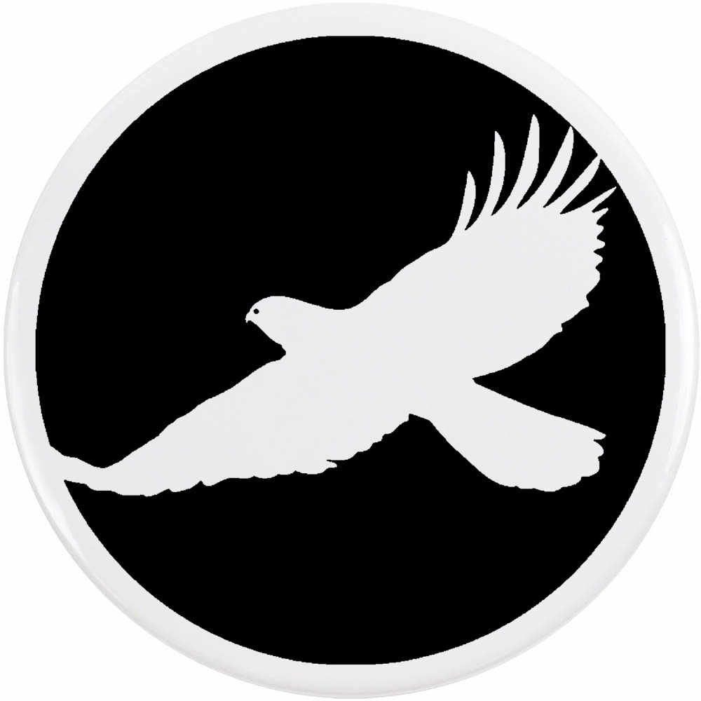 Insignes épingles à vente en gros boutons « Hawk Circle » (BB006960)