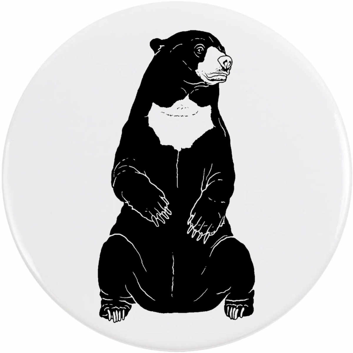 'Sun Bear' Button Pin Badges (BB030081)