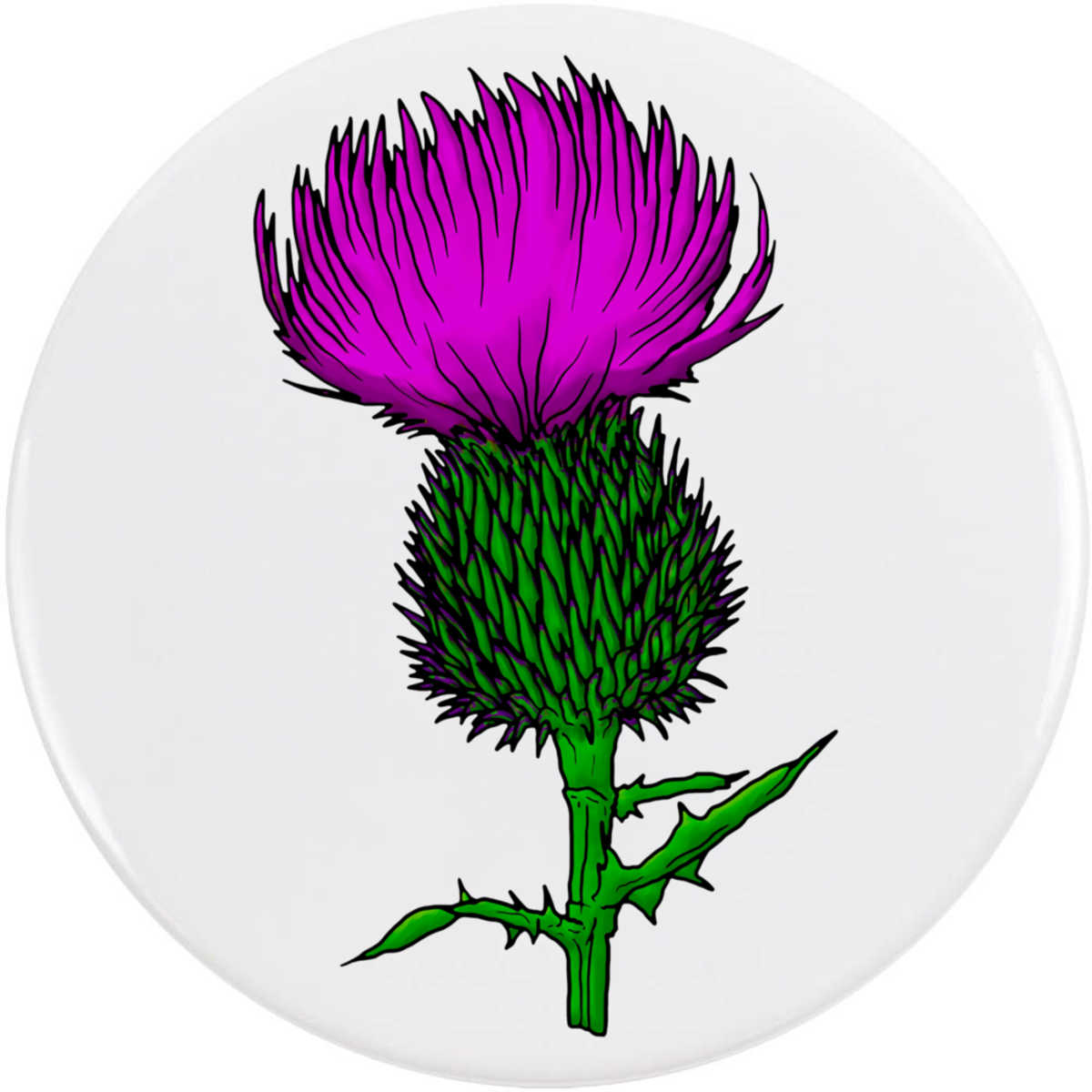 'Thistle' Button Pin Badges (BB030128)