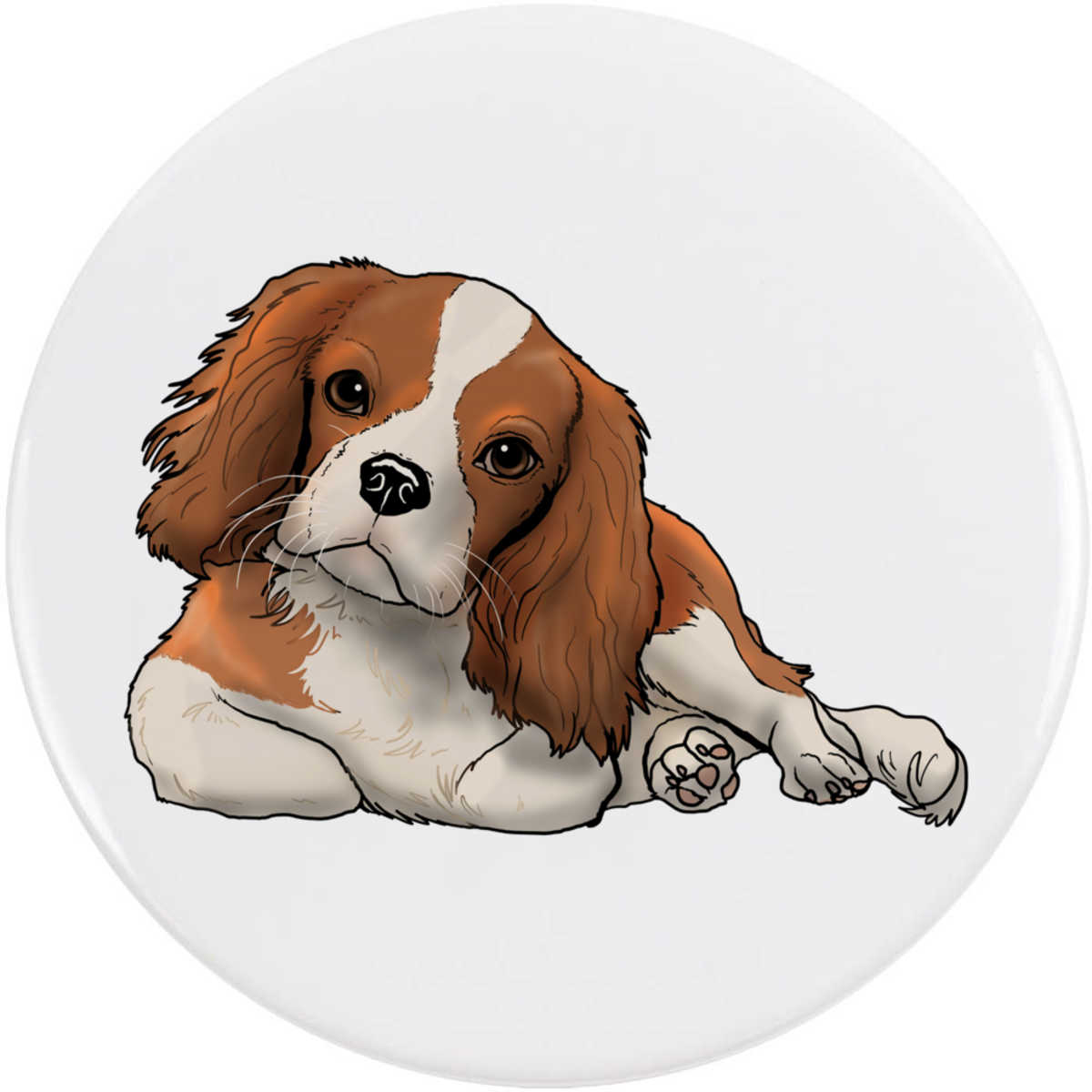 77mm 'Cavalier King Charles' Large Button Pin Badge (BB00080541)