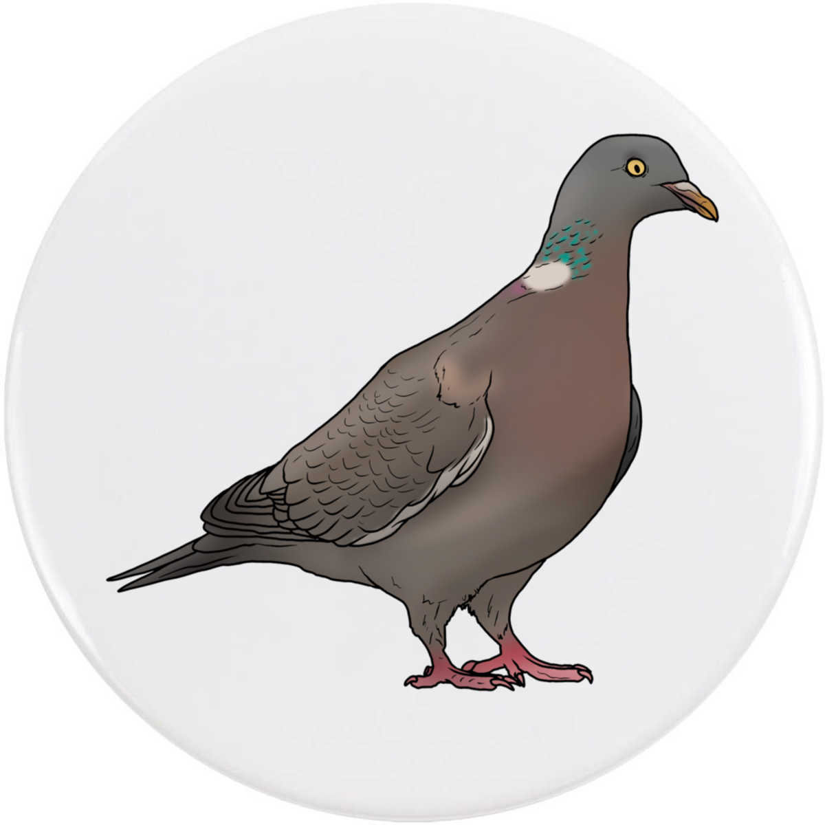 'Wood Pigeon' Button Badge - 77mm - Pin Back / Lapel Badge for Clothes, Bags, Accessories and Gifts (BB00104046)