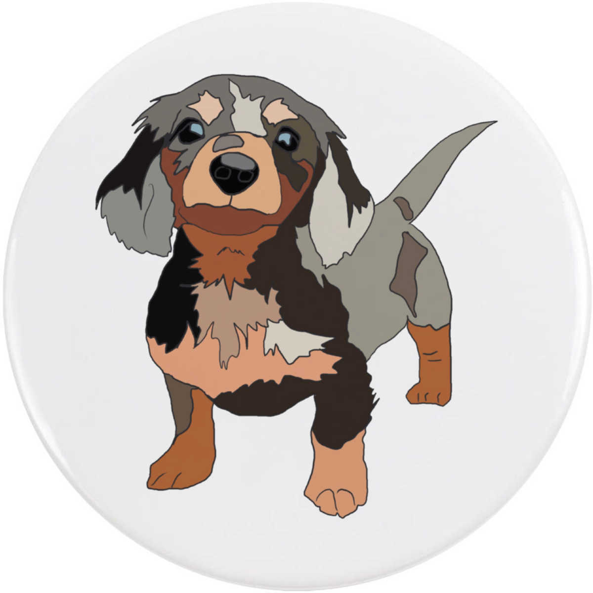 'Cute dachshund puppy' Button Pin Badges (BB040533)