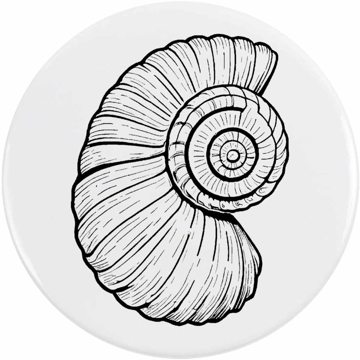 77mm 'Shell Fossil' Large Button Pin Badge (BB00118813)
