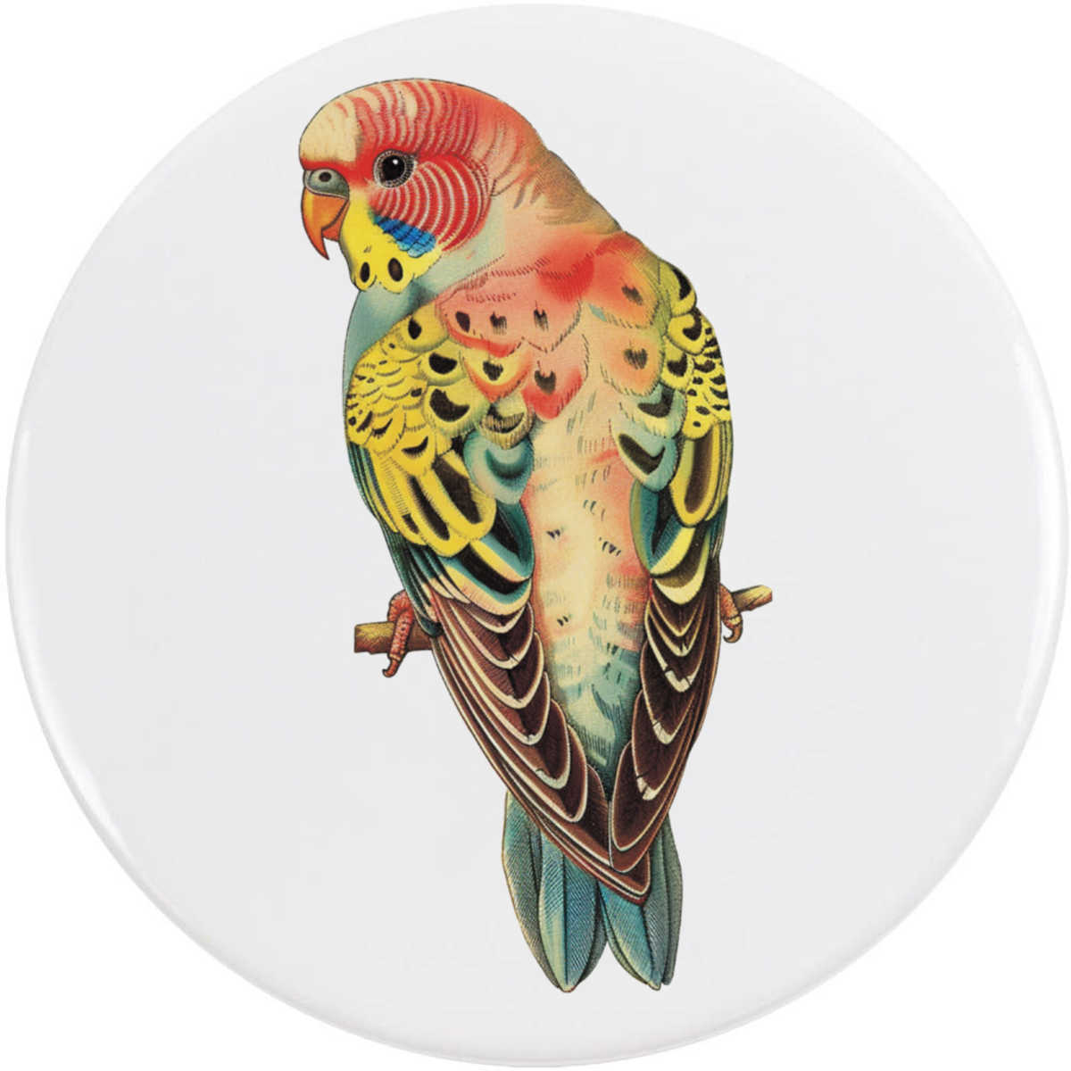'Colourful Budgie' Button / Lapel Badges - Pin Back Badges for Clothes, Bags, Accessories and Gifts (BB049394)