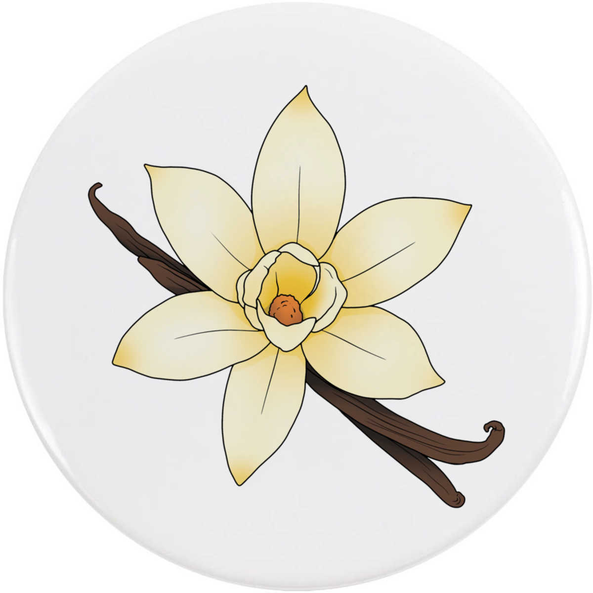 'Vanilla Pod & Flower' Button Pin Badges (BB054525)