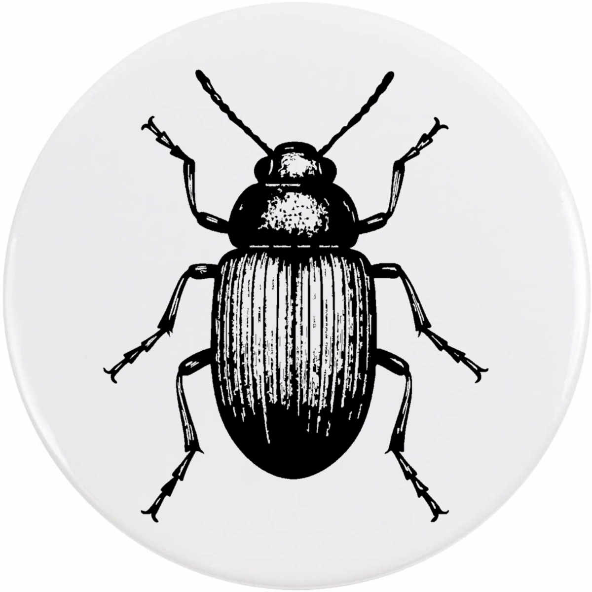 'beetle' Button Pin Badges (BB055114)