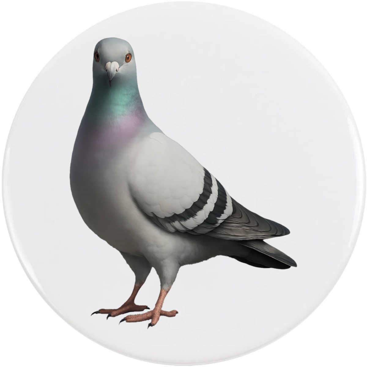 'Racing Pigeon' Button Badge - 77mm - Pin Back / Lapel Badge for Clothes, Bags, Accessories and Gifts (BB00148780)