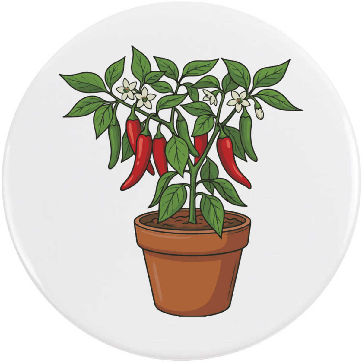 'Pepper Plant In Pot' Button / Lapel Badges - Pin Back Badges for Clothes, Bags, Accessories and Gifts (BB061800)