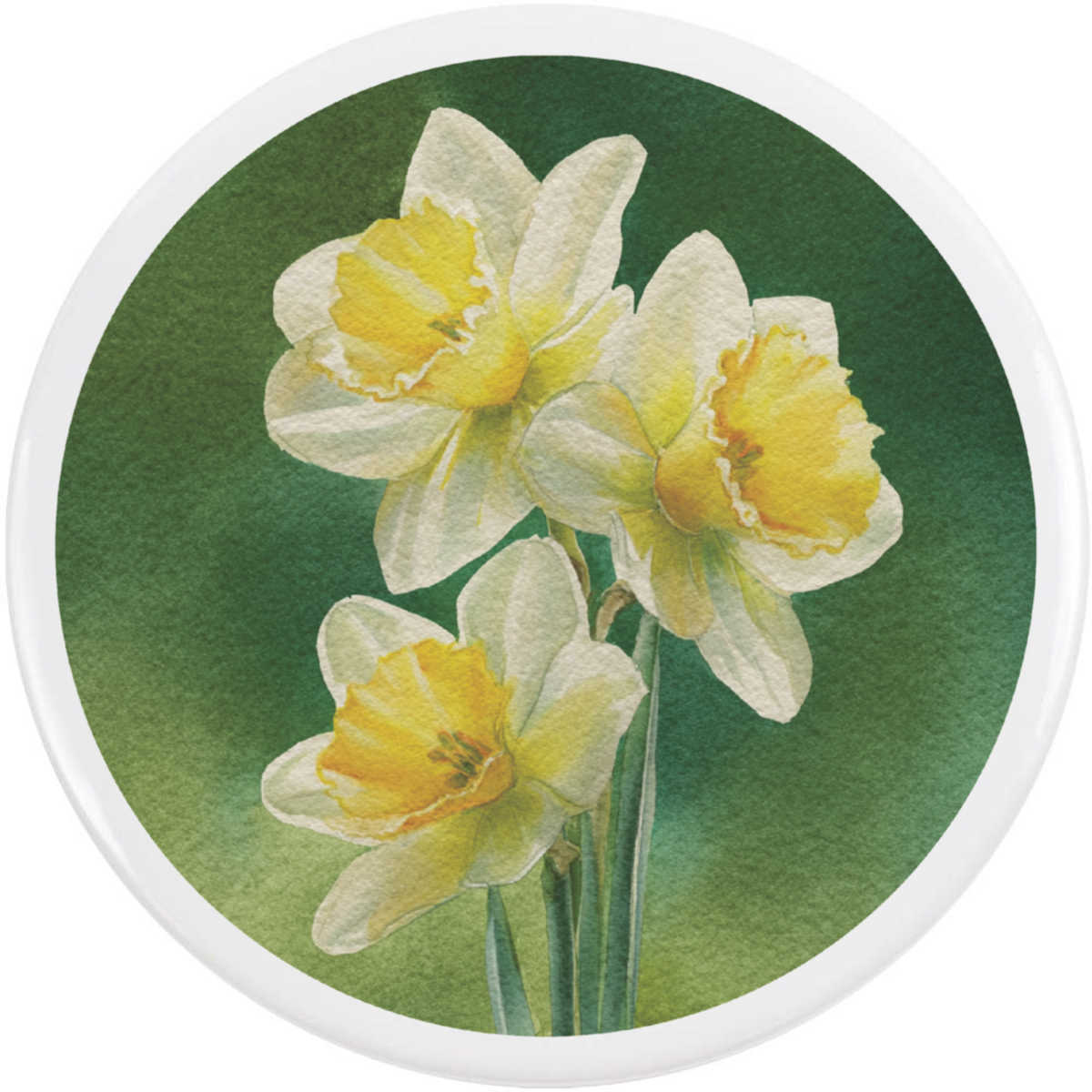 'Daffodils in Bloom' Button Badge - 77mm - Pin Back / Lapel Badge for Clothes, Bags, Accessories and Gifts (BB00164216)