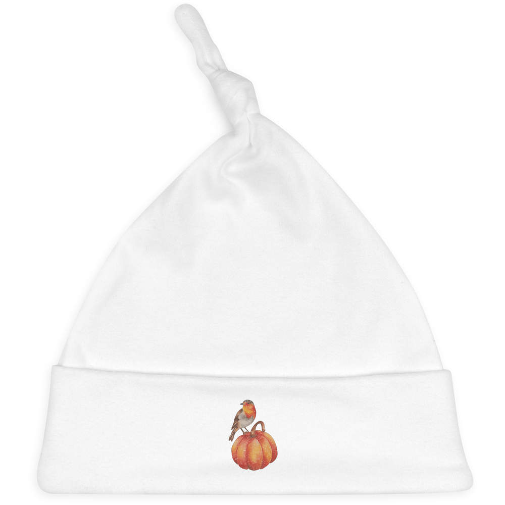 'Robin On Pumpkin' Baby Beanie Hat (BH00016178)