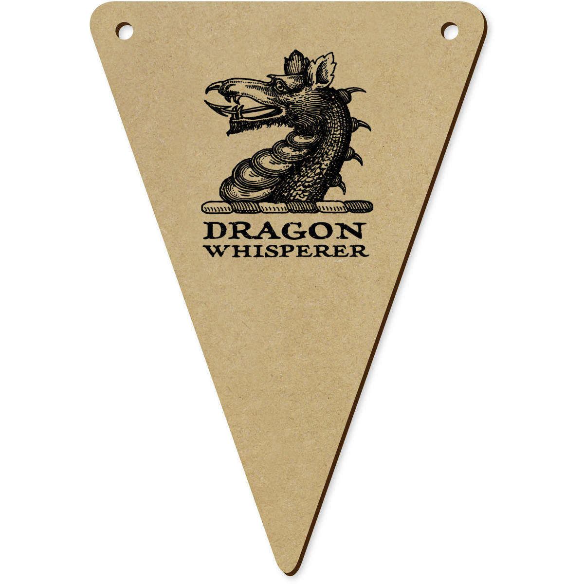 5 x 140mm 'Dragon Whisperer' Bunting Pennants / Flags (BN00078621)