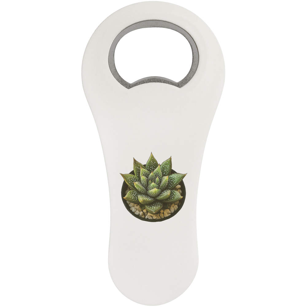 'Zebra Haworthia Succulent' Bottle Opener Fridge Magnet (BO00090694)