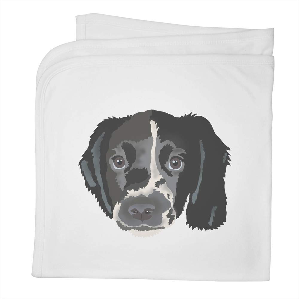 'Springer Spaniel Puppy' Cotton Baby Blanket / Shawl (BY00040832)