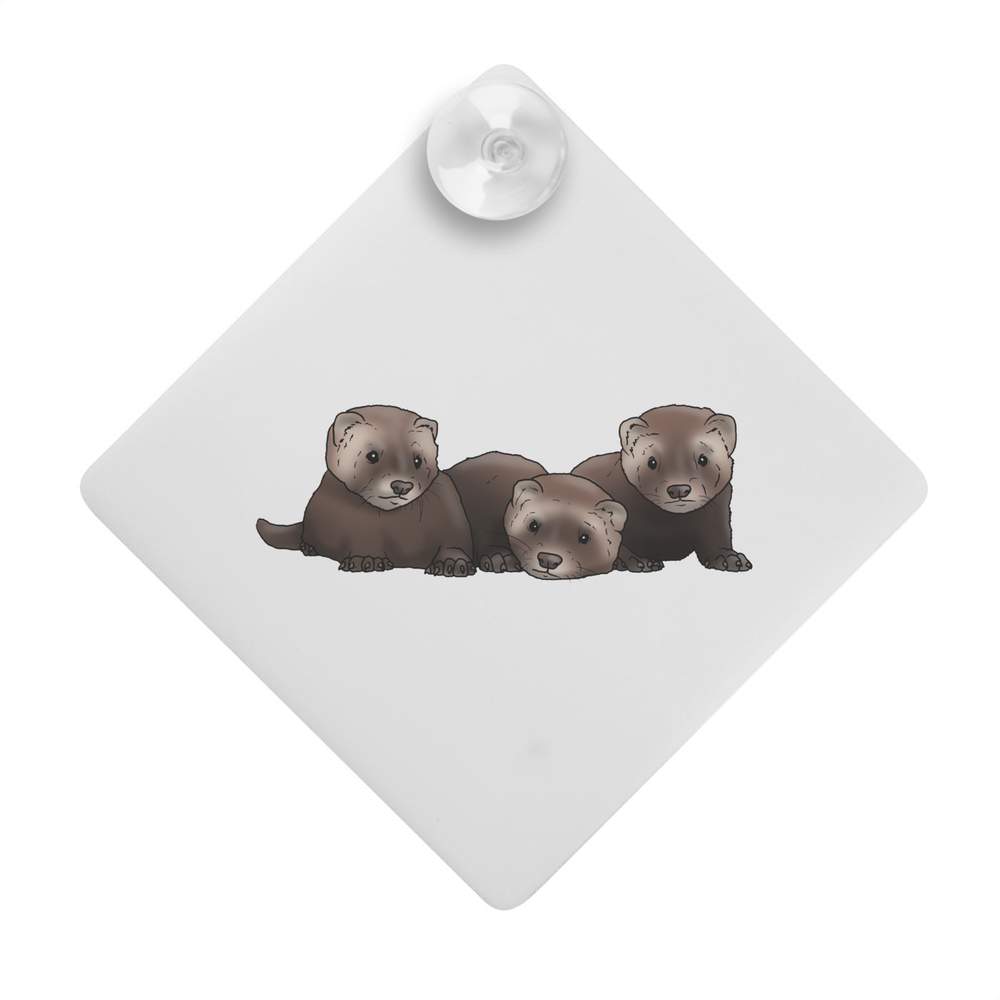 'Baby Ferrets' Suction Cup Car Window Sign (CG00014076)
