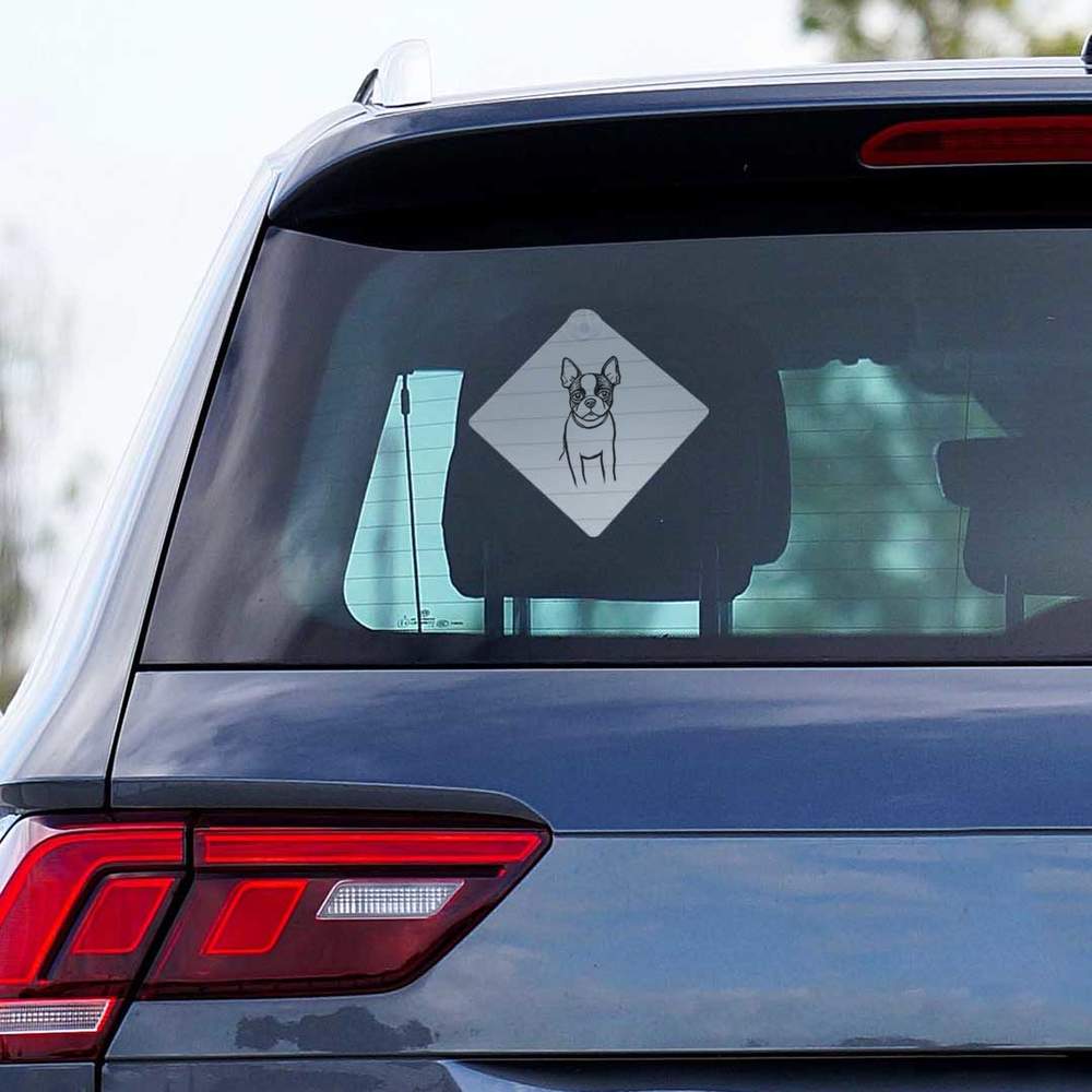 azeeda/CG/CARSIGNSQRWHT/CG00025013_02