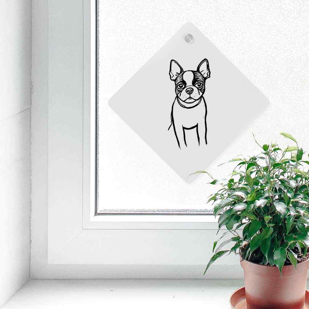 azeeda/CG/CARSIGNSQRWHT/CG00025013_05