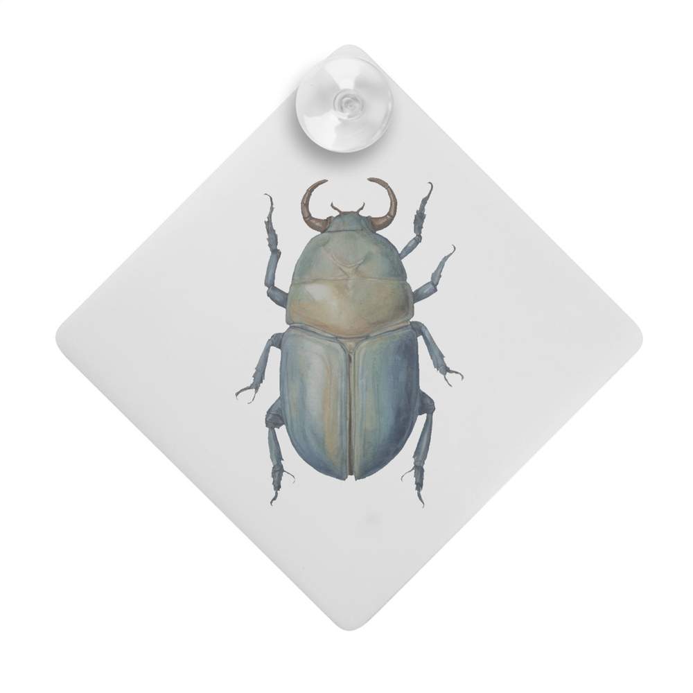 'Scarab Beetle' Suction Cup Car Window Sign (CG00026056)