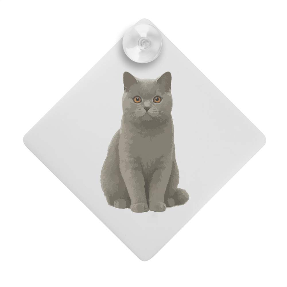 'Alert British Shorthair Cat' Suction Cup Car Window Sign (CG00032992)