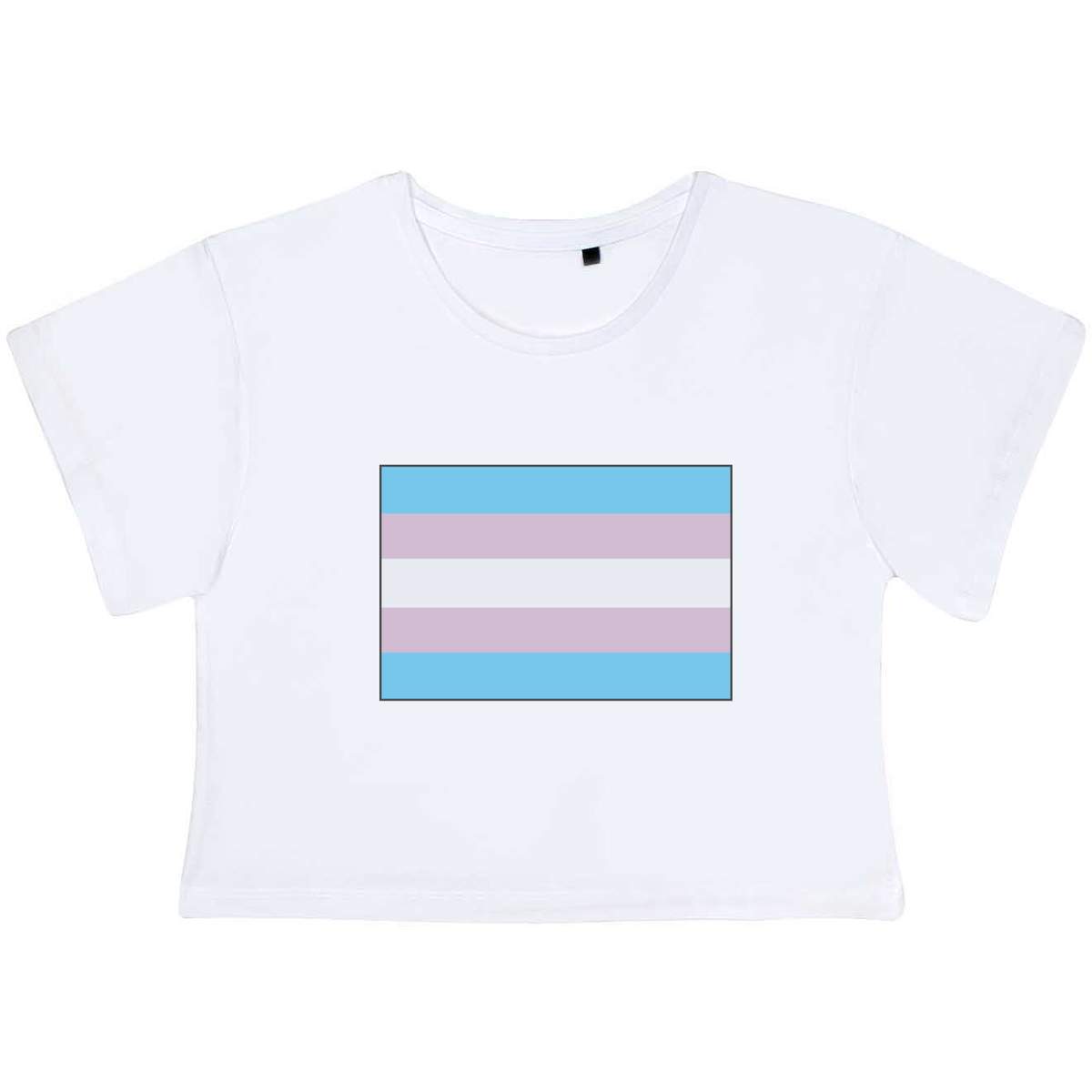 Large 'Transgender Pride Flag' Adult's Cotton Crop Top (CO00041540)