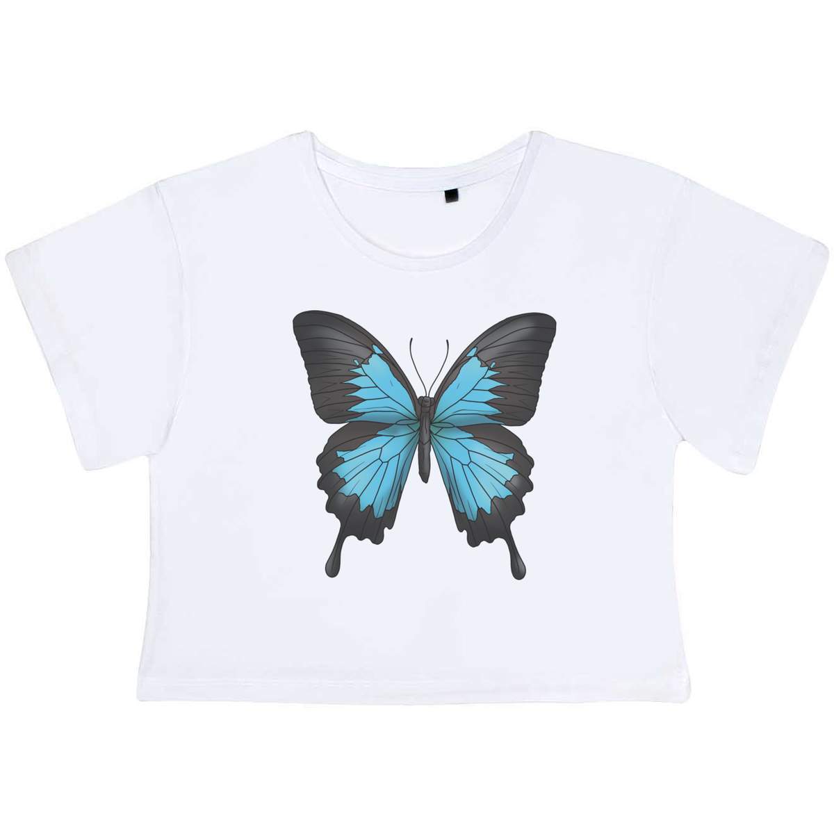 Large 'Blue Ulysses Swallowtail Butterfly' Adult's Cotton Crop Top (CO00126727)