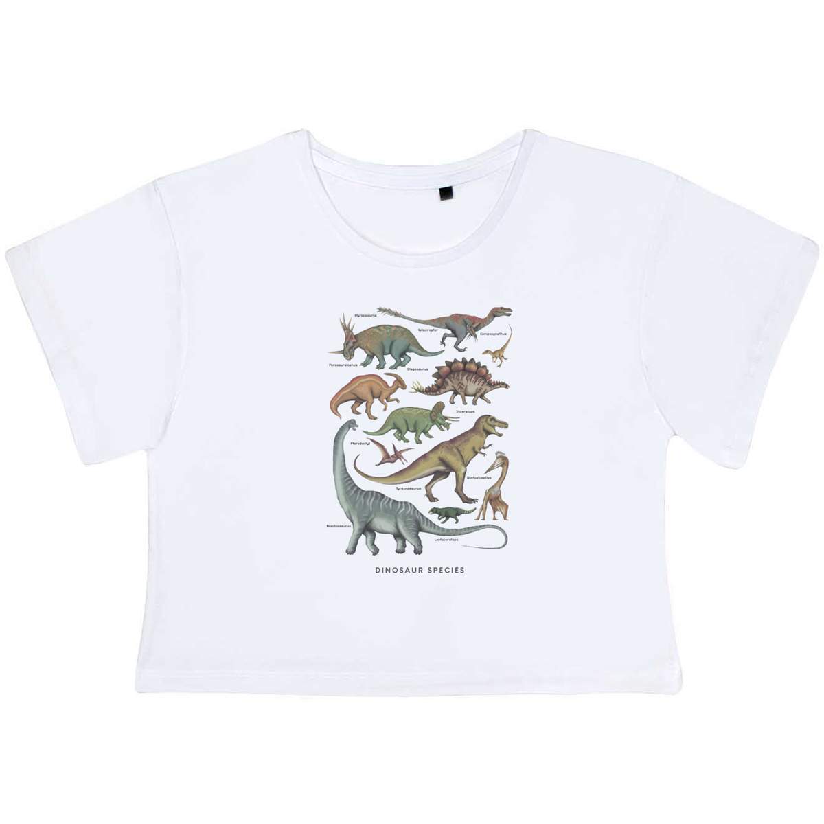 'Dinosaur Species' Women's Cotton Crop Tops (CO039018)