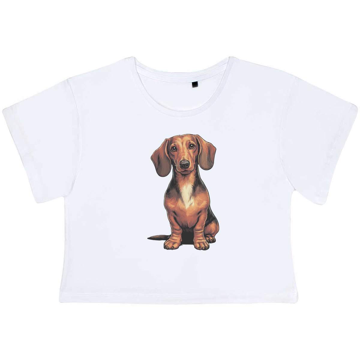 'Cute Dachsund' Women's Cotton Crop Tops (CO049564)
