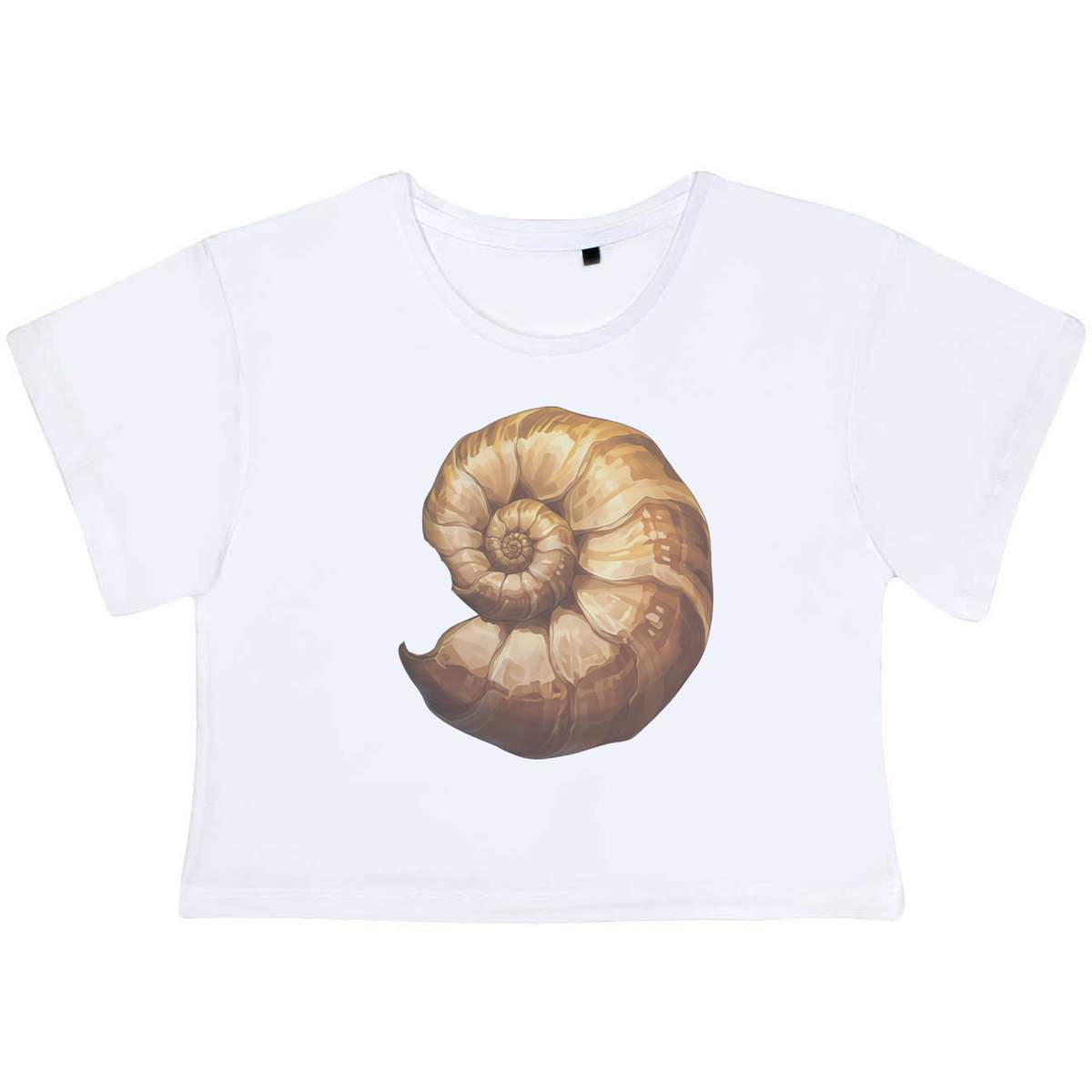 'Ammonite Fossil' Women's Cotton Crop Tops (CO054284)