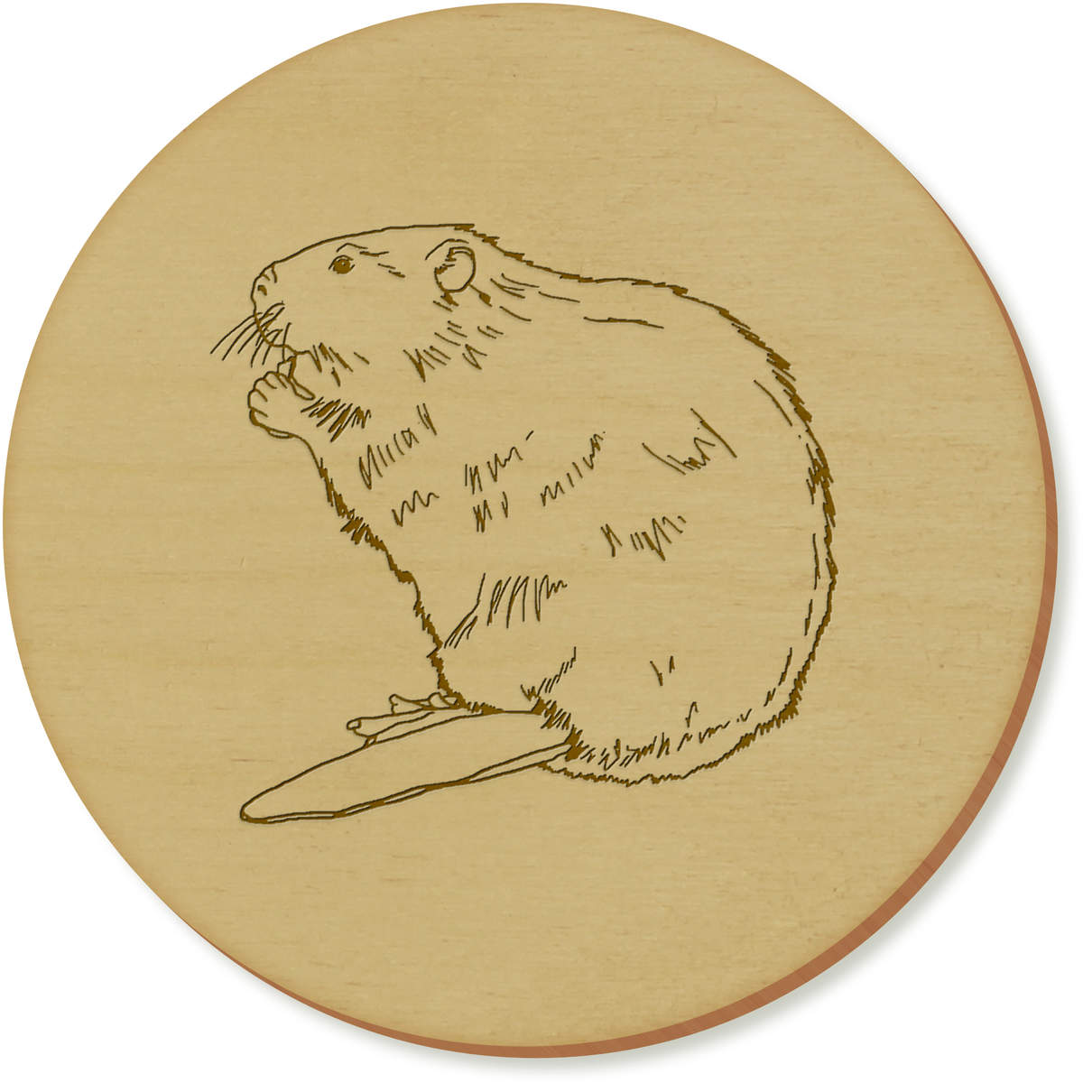 'Beaver' Coaster Sets (CR027713)