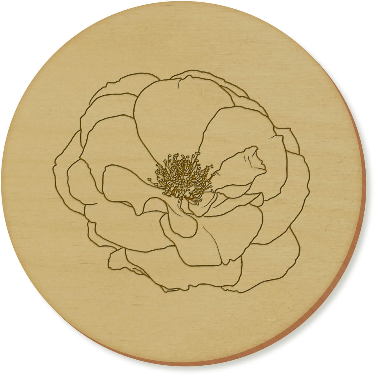 'Wild Rose' Coaster Sets (CR029498)