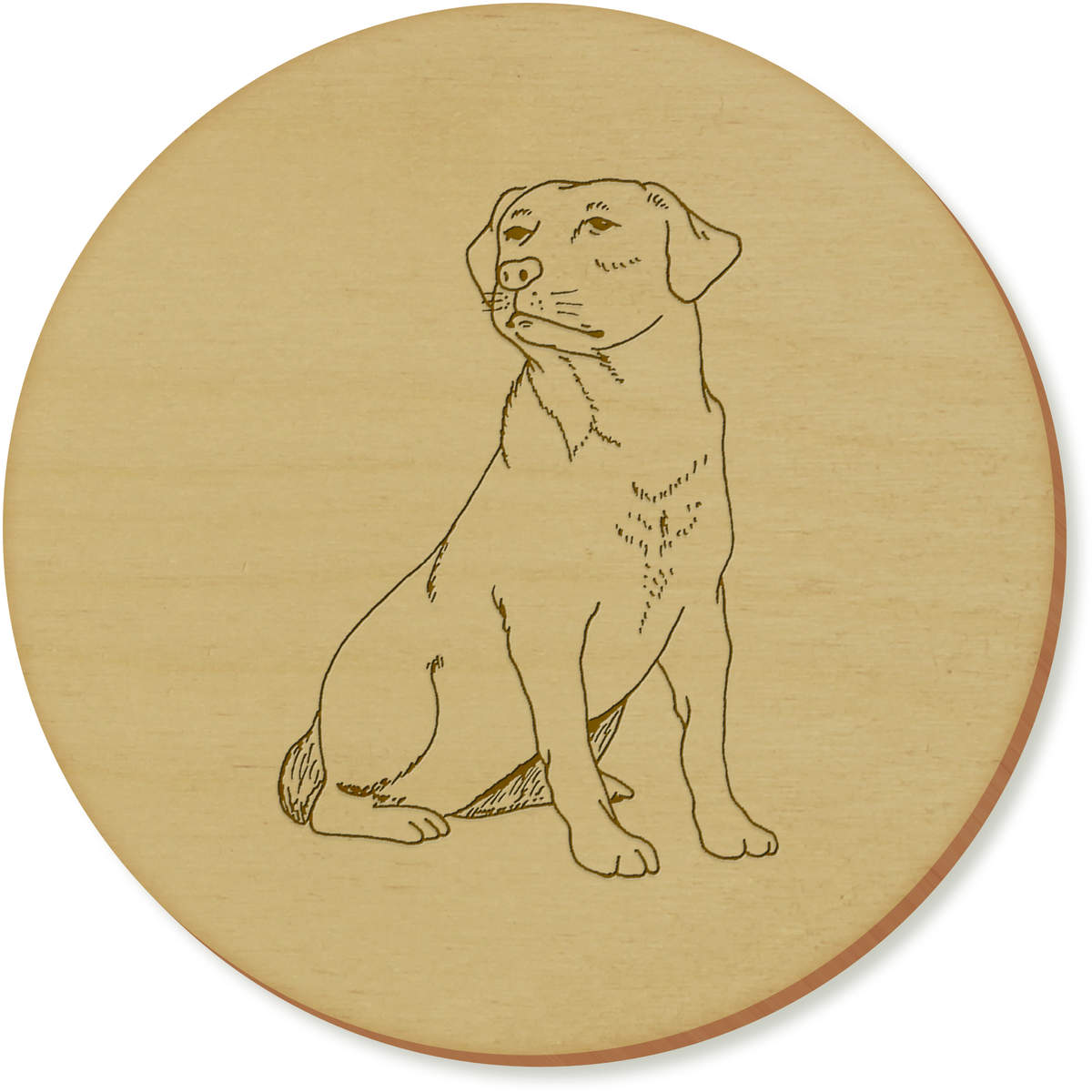 'Labrador' Coaster Sets (CR036111)