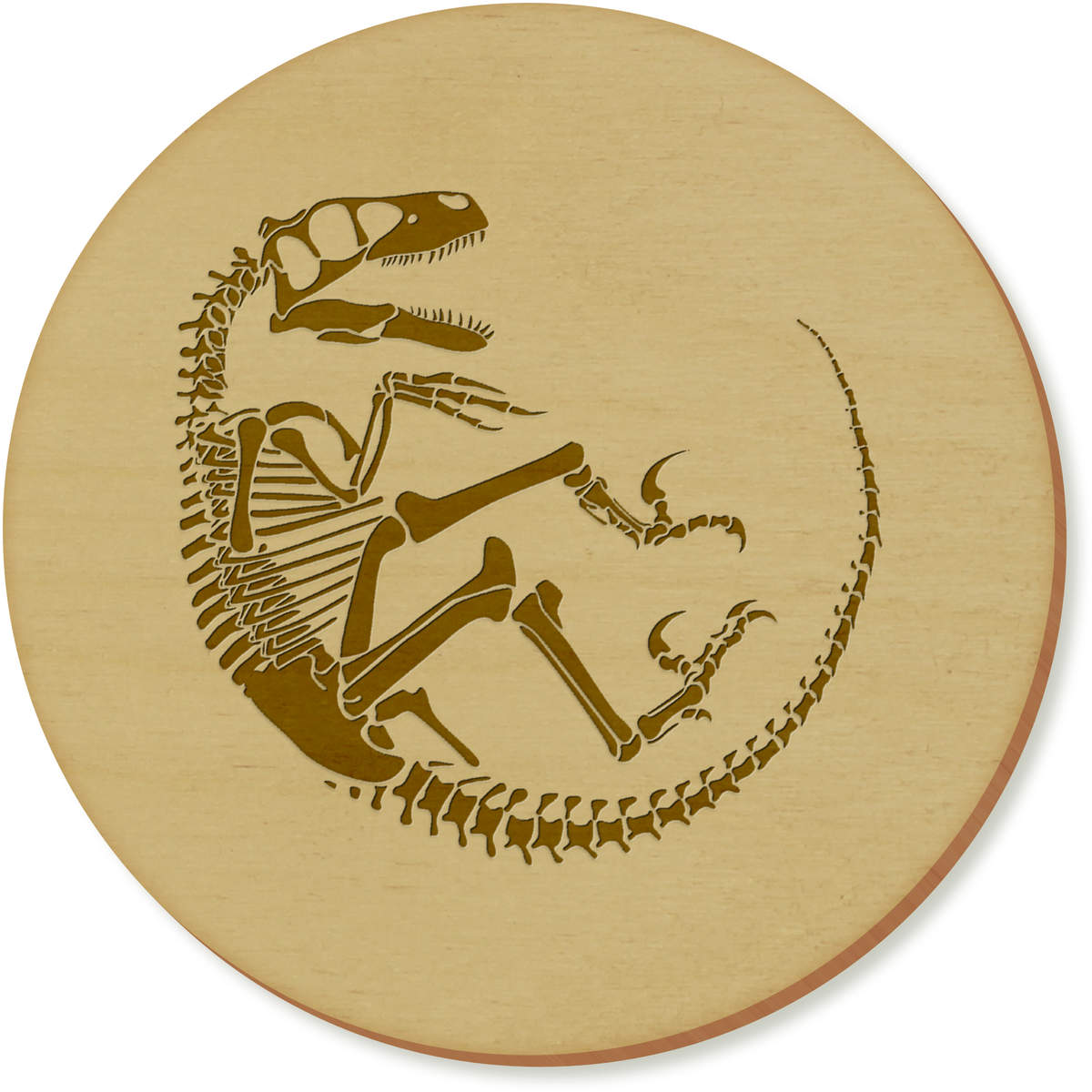 'Velociraptor Fossil' Coaster Sets (CR039030)